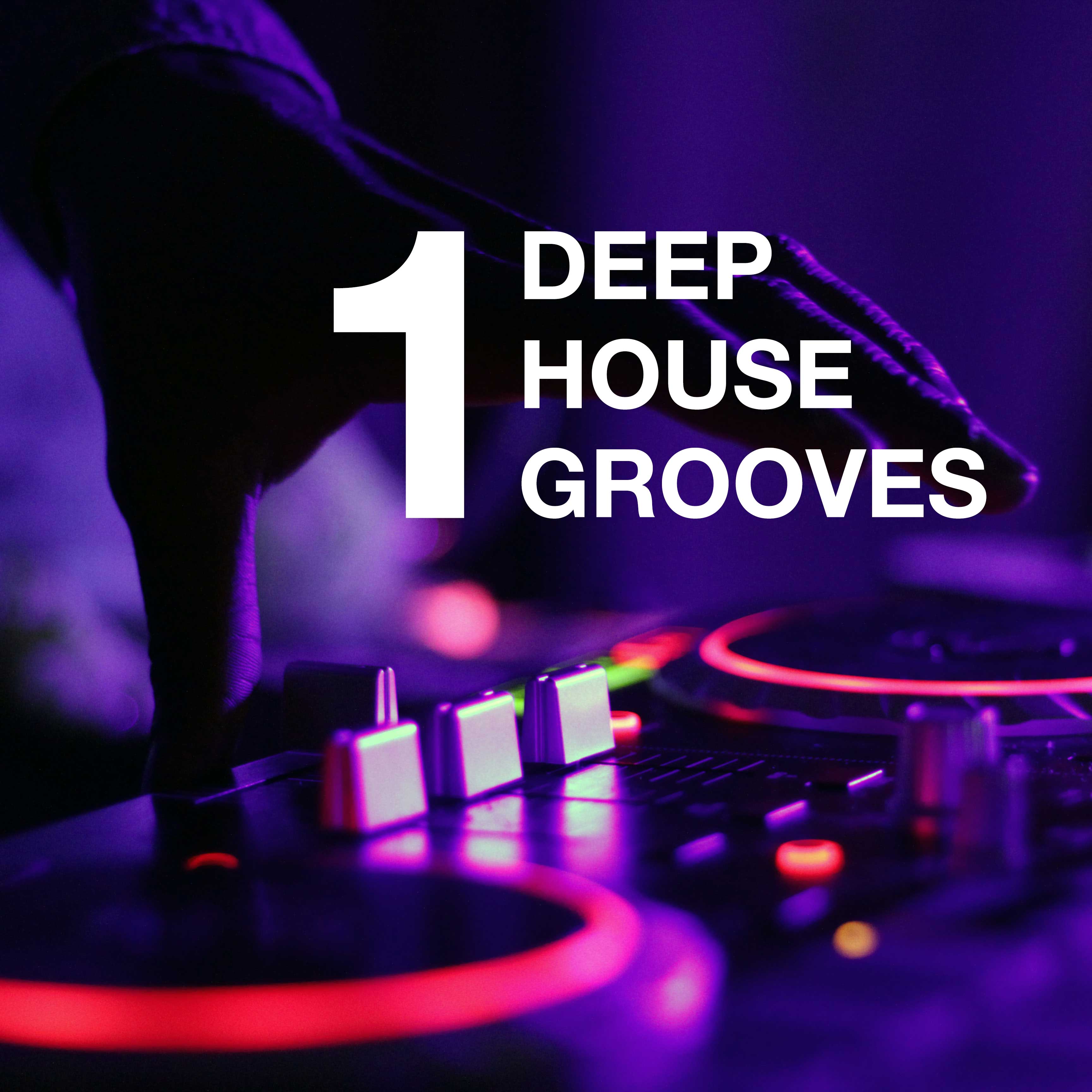 Deephouse Grooves (Volume 1)