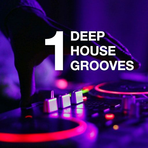 Deephouse Grooves (Volume 1)