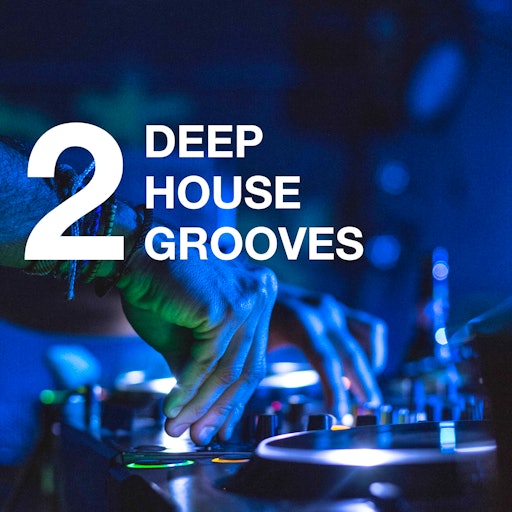 Deephouse Grooves (Volume 2)