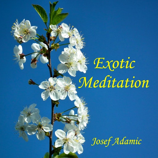 Exotic Meditation