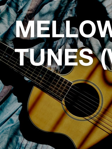 Mellow Acoustic Tunes (Volume 1)