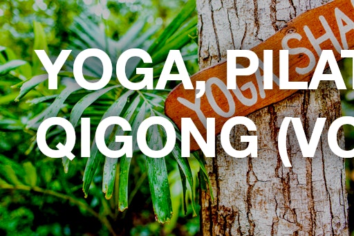 Yoga, Pilates & Qigong (Volume 1)