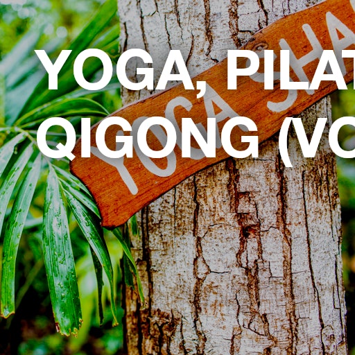 Yoga, Pilates & Qigong (Volume 1)