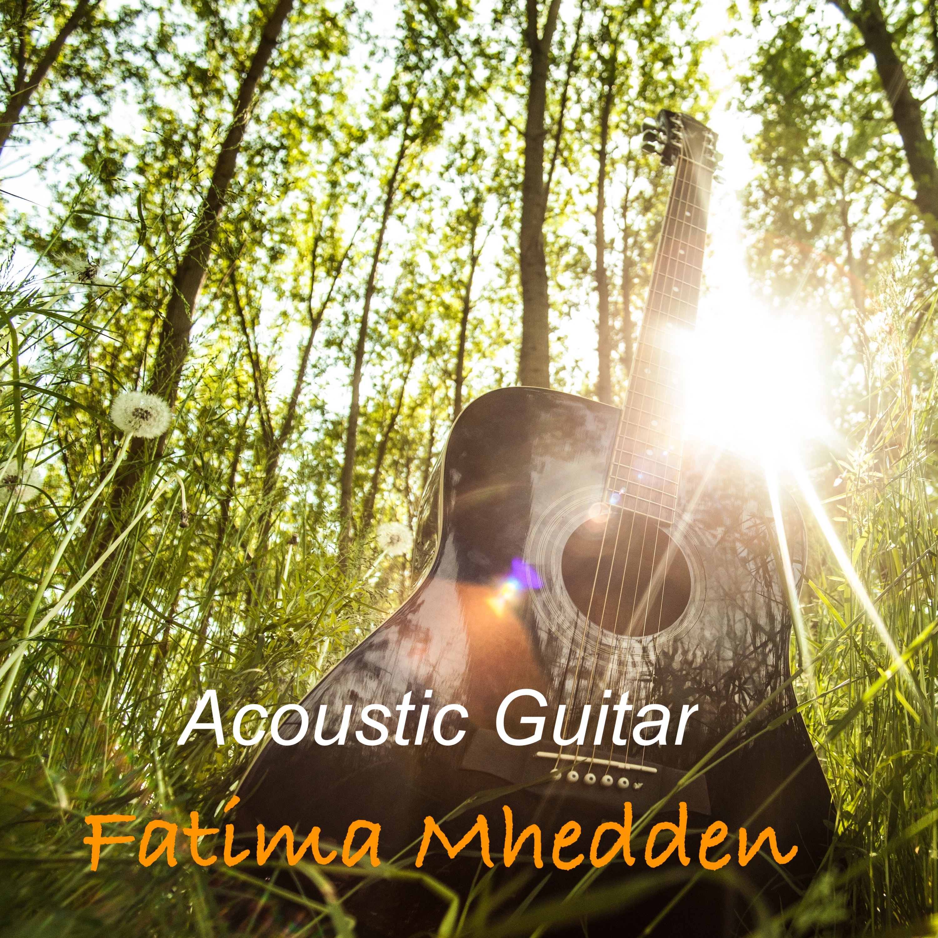 Acoustic Guitar Clips 1