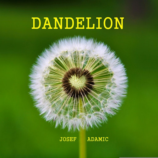 Dandelion Bundle