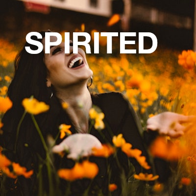 spirited
