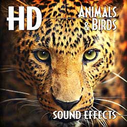 HD – Animals & Birds Sound Effects