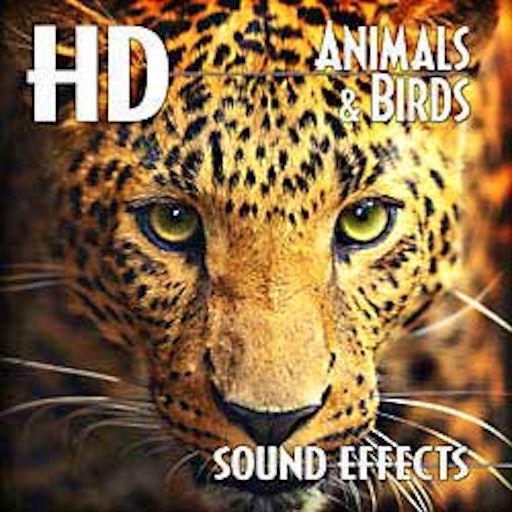 HD – Animals & Birds Sound Effects