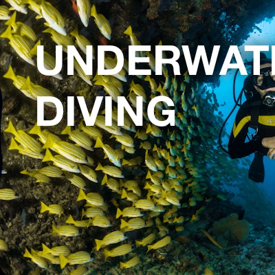Underwater / Diving