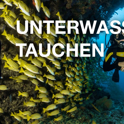 Unterwasser / Tauchen