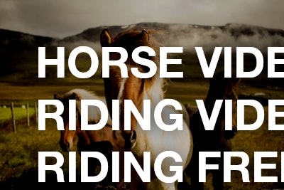 Horse videos / Riding videos / Riding freestyle