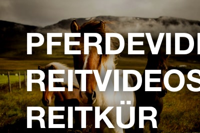 Pferdevideos / Reitvideos / Reitkür
