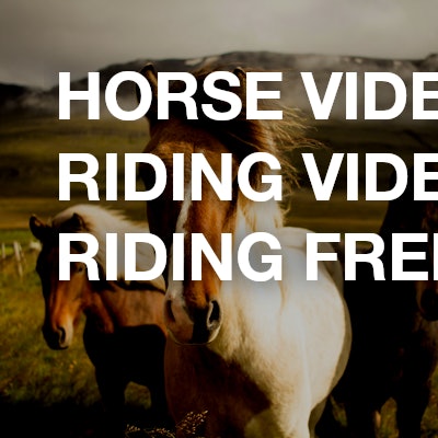 Horse videos / Riding videos / Riding freestyle