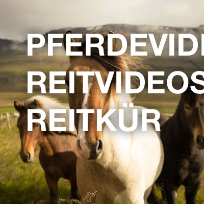 Pferdevideos / Reitvideos / Reitkür