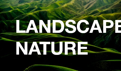 landscape / nature